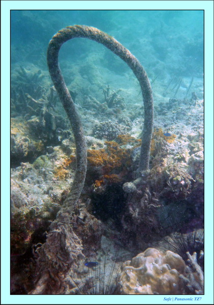 2011 - 03 - Koh Ngai 064